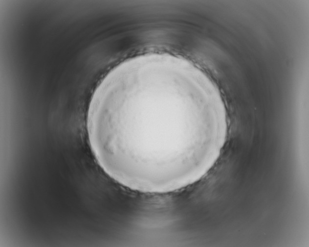 X0000088710824200706282041