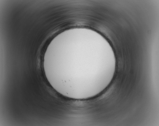 X0000088710827200706282041