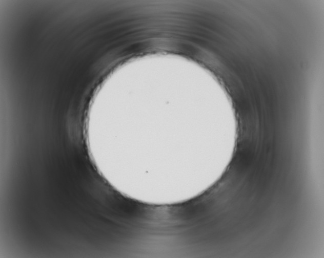 X0000088710828200706282041