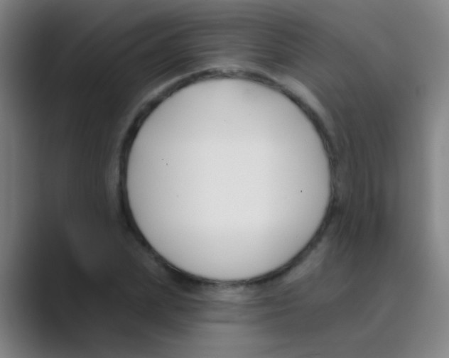 X0000088710831200706282042