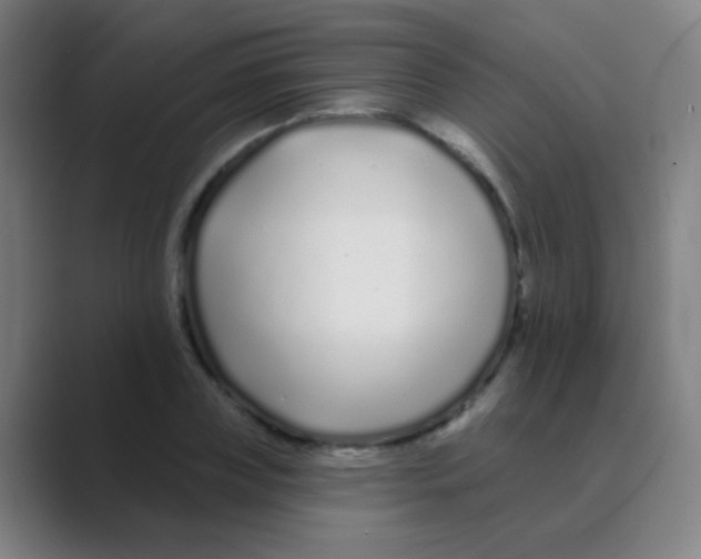 X0000088710835200706282042