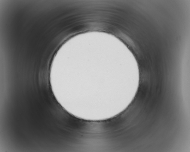 X0000088710836200706282042