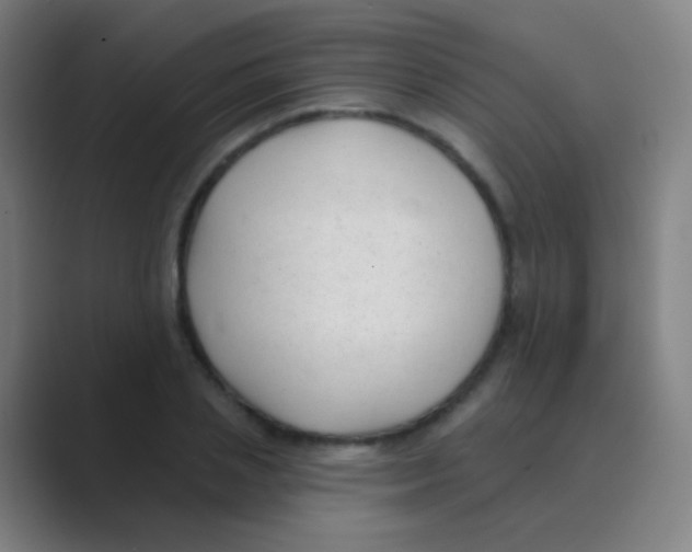 X0000088710837200706282042