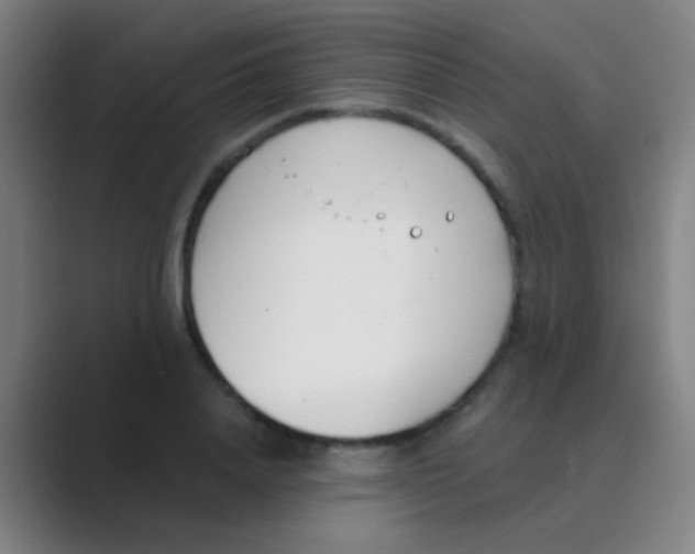 X0000088710840200706282042