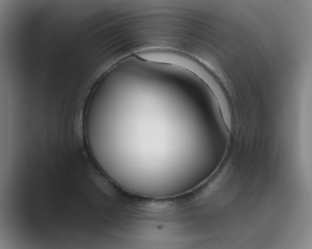 X0000088710842200706282042