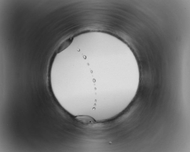 X0000088710845200706282042