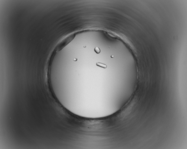 X0000088710846200706282042