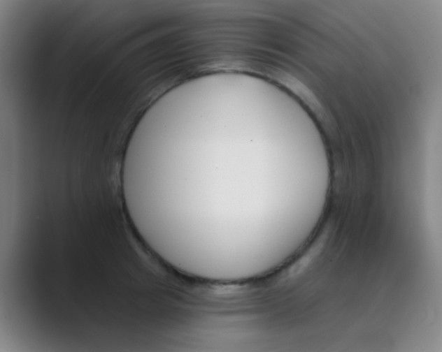 X0000088710849200706282042