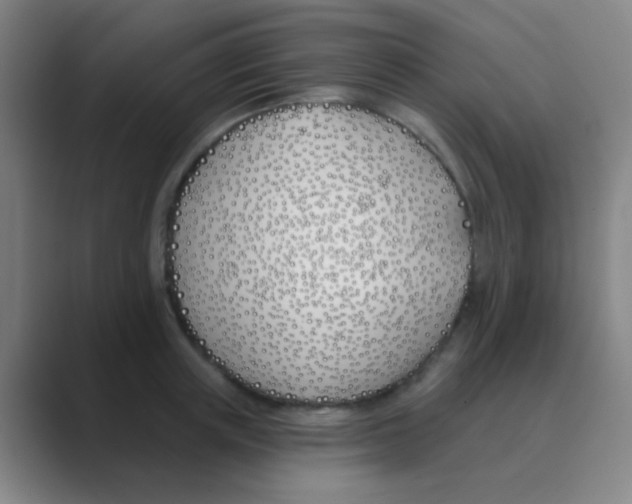 X0000088710851200706282042