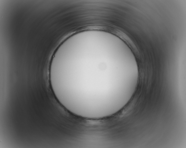 X0000088710852200706282042