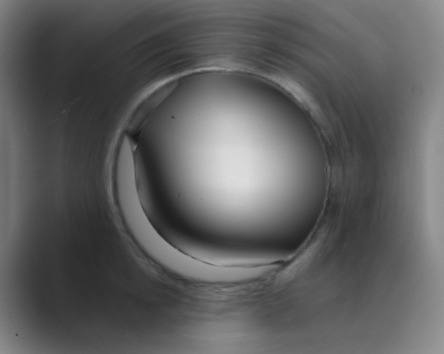 X0000088710854200706282042