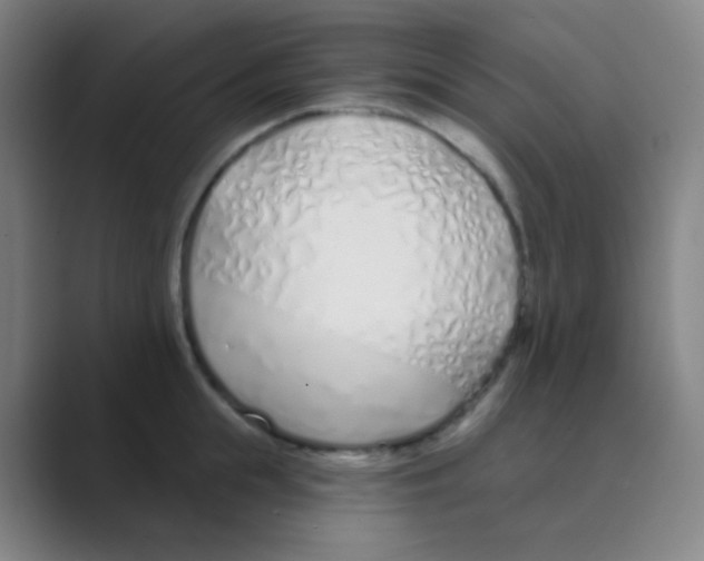 X0000088710855200706282042