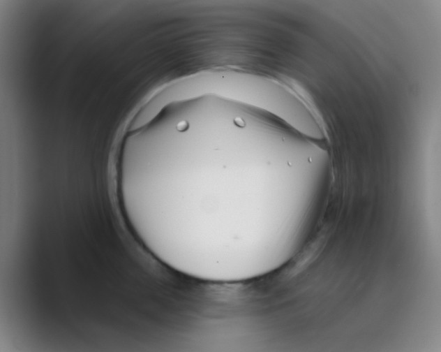 X0000088710859200706282042