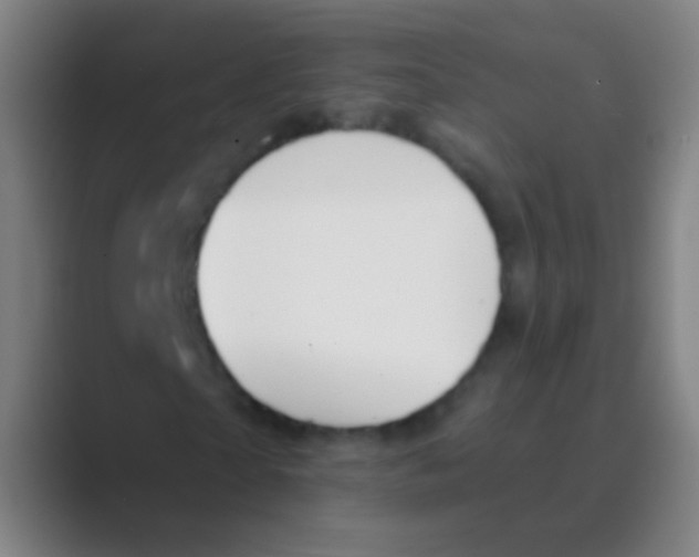 X0000088710865200706282041