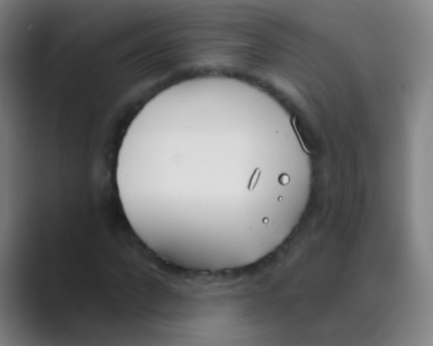 X0000088710872200706282041