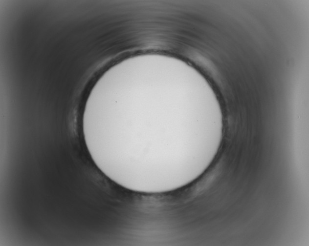 X0000088710875200706282041