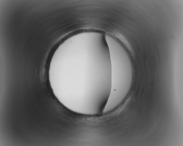 X0000088710876200706282041