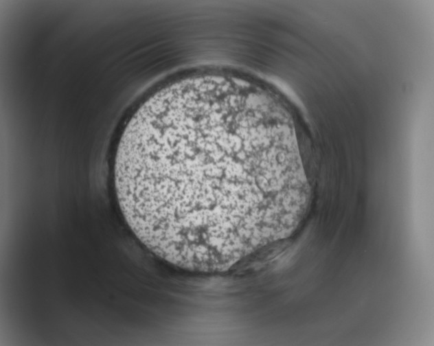 X0000088710879200706282041