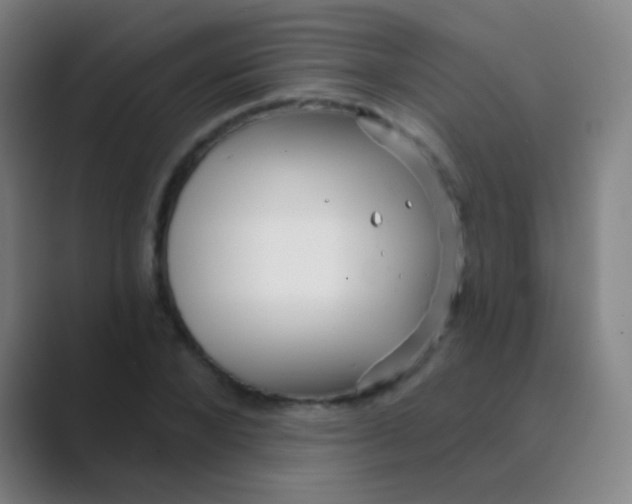 X0000088710880200706282041