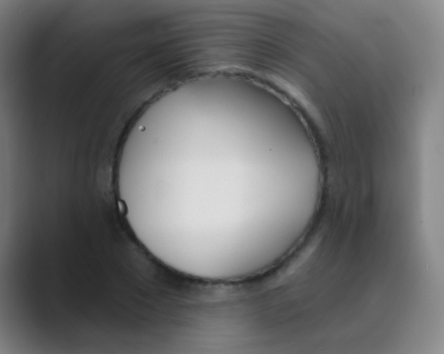 X0000088710881200706282041