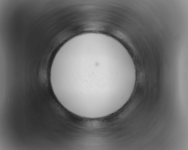 X0000088710882200706282041