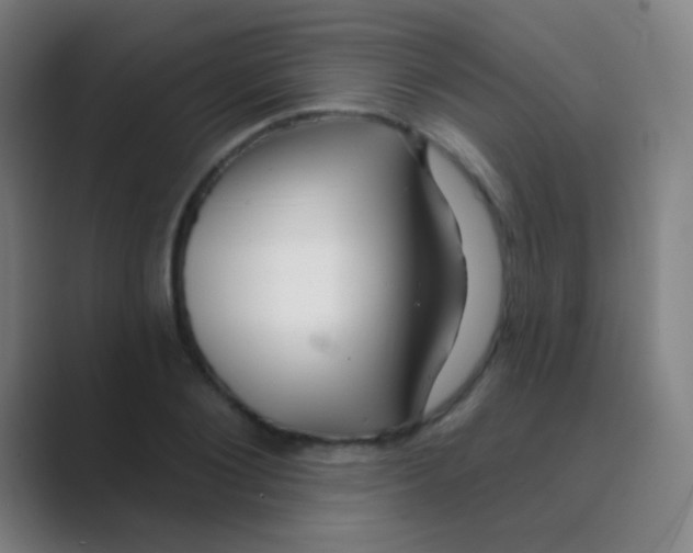 X0000088710884200706282041