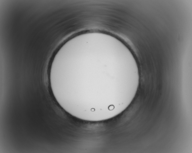 X0000088710887200706282041