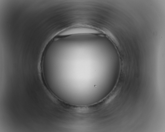 X0000088710893200706282041