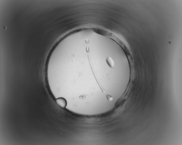 X0000088710895200706282041