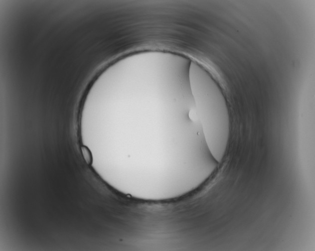 X0000088710896200706282041