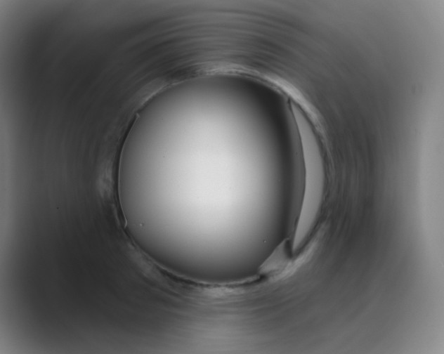 X0000088710897200706282041