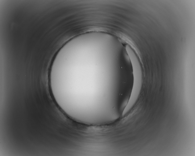 X0000088710898200706282041