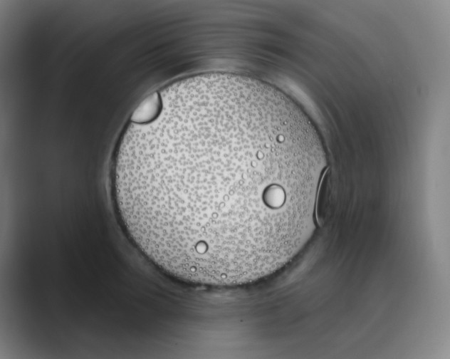 X0000088710899200706282041