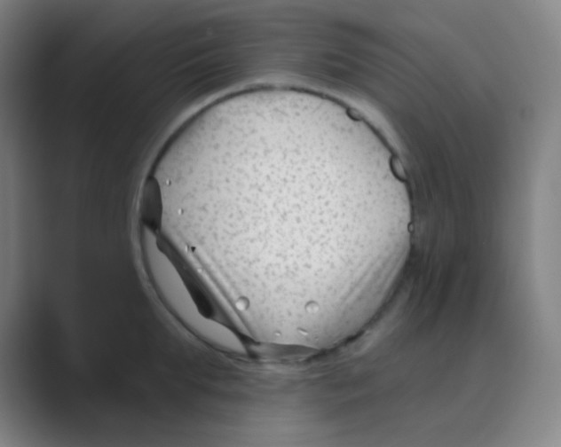 X0000088710903200706282041