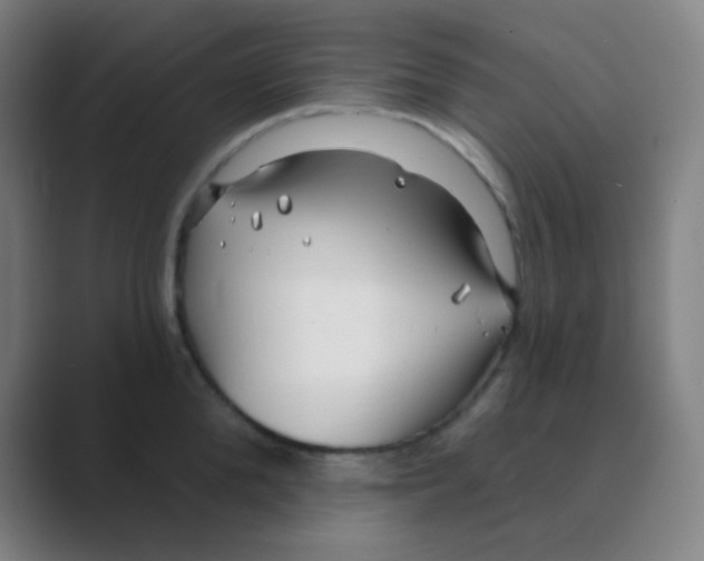 X0000088710904200706282041