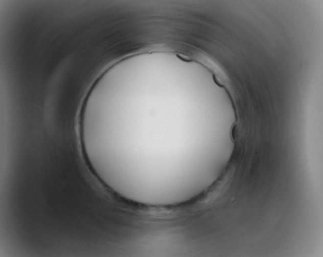 X0000088710907200706282041