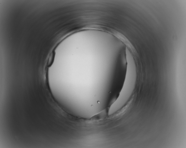 X0000088710908200706282041