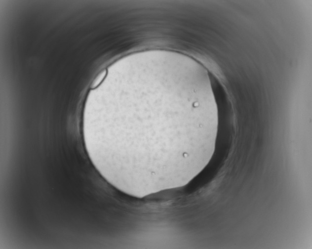 X0000088710912200706282041