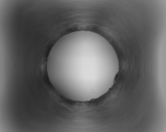 X0000088710914200706282040