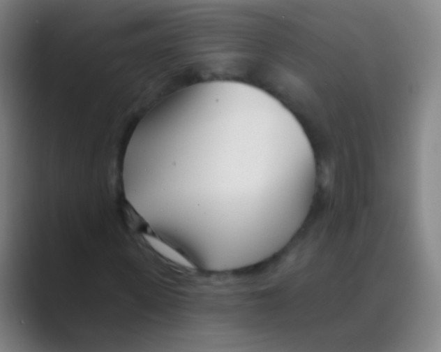 X0000088710915200706282040