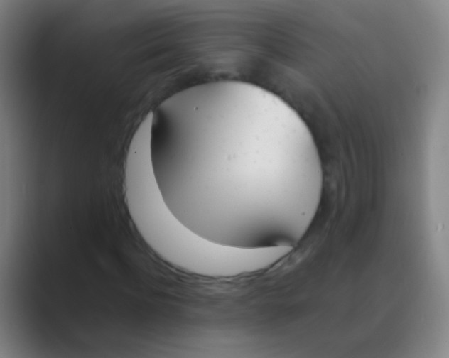 X0000088710916200706282040