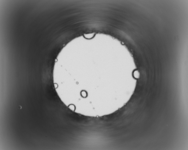 X0000088710918200706282040