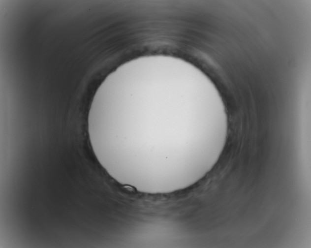 X0000088710919200706282040