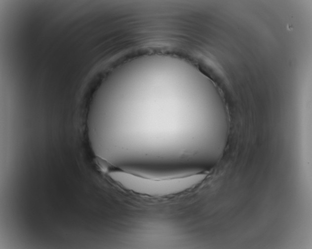 X0000088710920200706282040