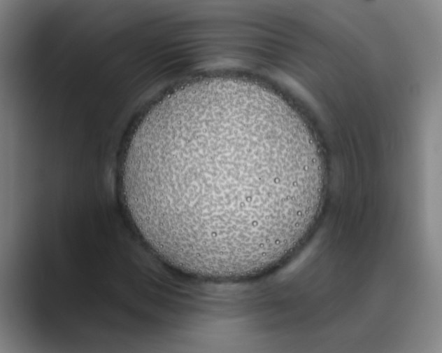 X0000088710921200706282040