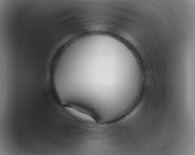 X0000088710922200706282040