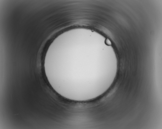 X0000088710923200706282040