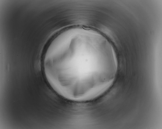 X0000088710924200706282040