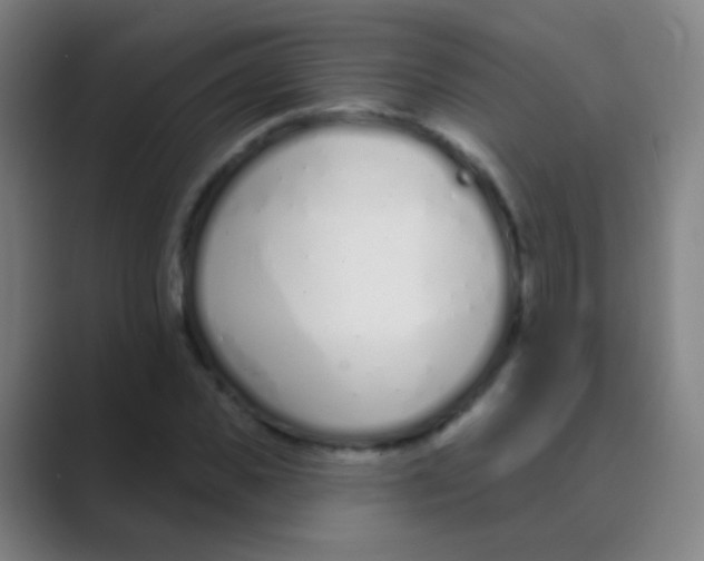 X0000088710925200706282040