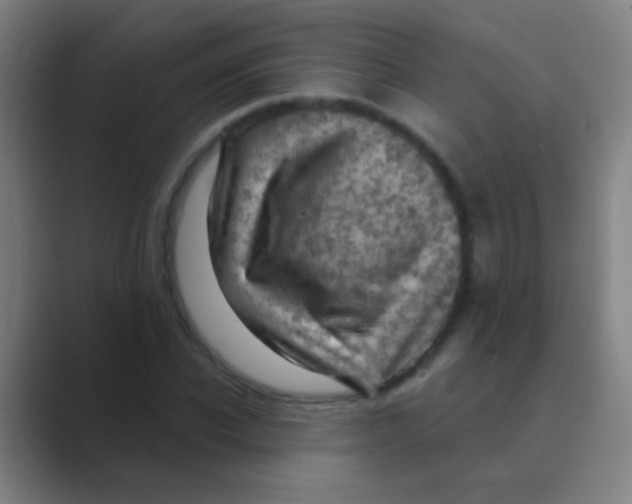 X0000088710926200706282040